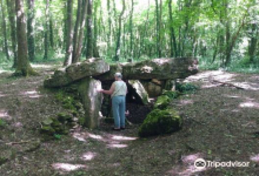 L'Allee Couverte De Dampsmesnil景点图片
