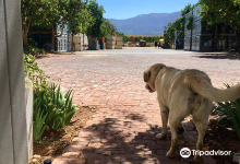 Arabella Wines景点图片