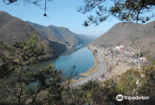 Wake beautiful forest景点图片
