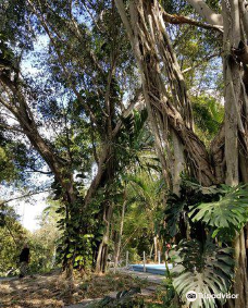 海明威故居-哈瓦那