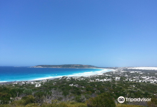 Cape Arid National Park景点图片