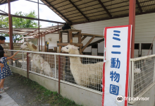 Suetoshi Farm景点图片