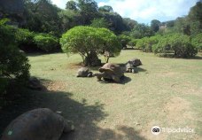 François Leguat Giant Tortoise and Cave Reserve-罗德里格斯岛