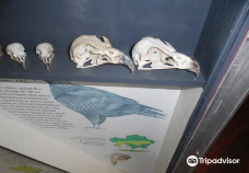 Ecomuseum-加拉干达