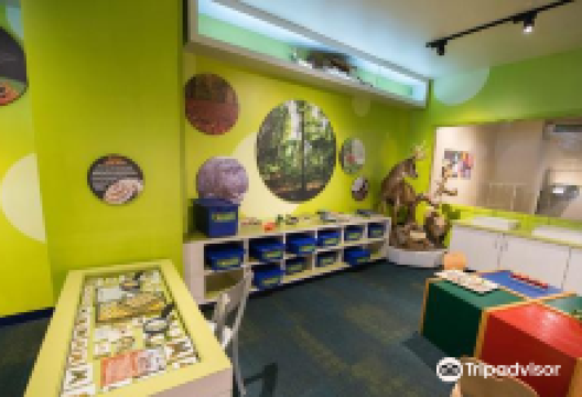 North Museum of Nature and Science景点图片