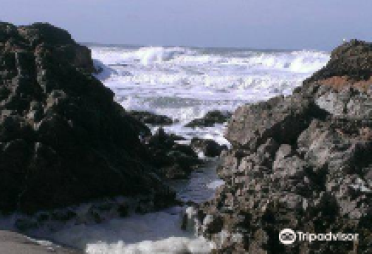 Pescadero Marsh Natural Preserve景点图片