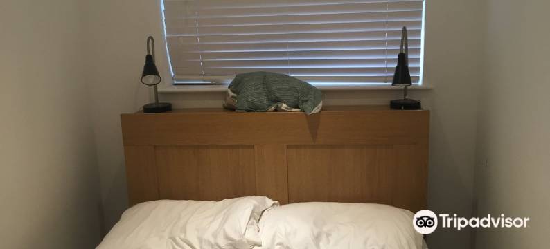 塔桥公寓室酒店(Tower Bridge Apartments)图片