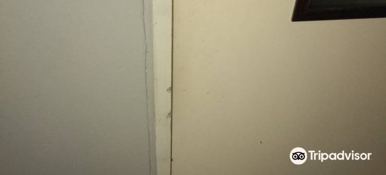科卡玛旅馆(Cokama Guesthouse)图片