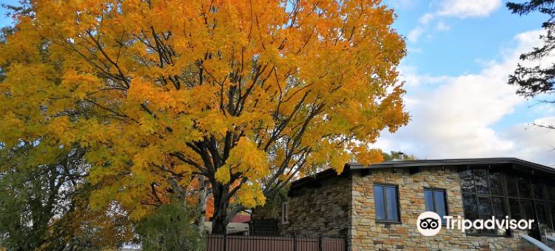 夏季时光法式度假别墅(Gîte Un Air d'été)图片