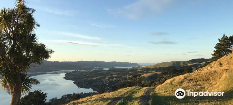 波托贝洛乡村旅游公园度假村(Portobello Village Tourist Park)图片