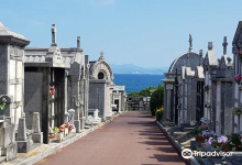 Cementerio de Ballena景点图片