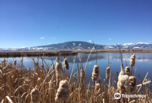 Monte Vista National Wildlife Refuge景点图片