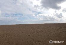 Playa La Punta del Fangar景点图片