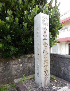 Shurikinjocho Oakagi Tree-那霸