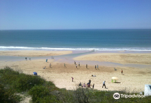 Sidi Bouzid Beach (Plage de Sidi Bouzid)景点图片