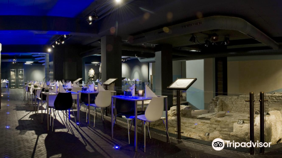 Derlon Museum Cellar
