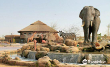 迪拜野生动物园-迪拜