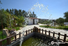 Oleastro olive park and museum景点图片