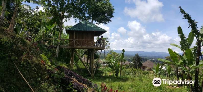 巴厘岛树屋(Bali Tree House)图片