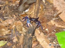 Cotigao保护区-南果阿县