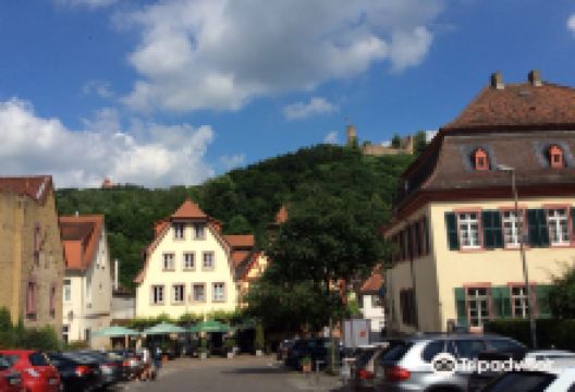 Museum der Stadt Weinheim景点图片