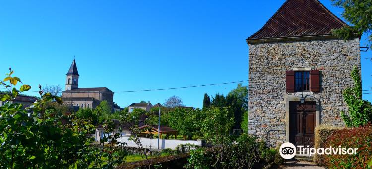 Château d'igé图片