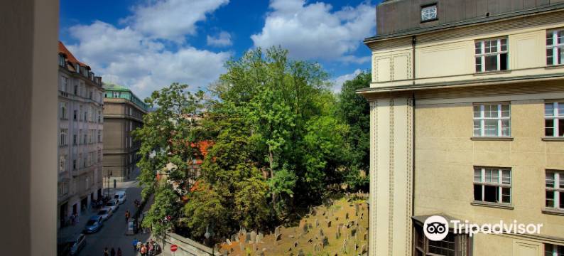 赞提克卡14号公寓式酒店(Zatecka N°14)图片