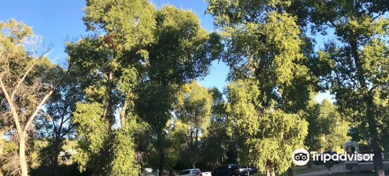 美森旅舍(El Meson Lodge)图片