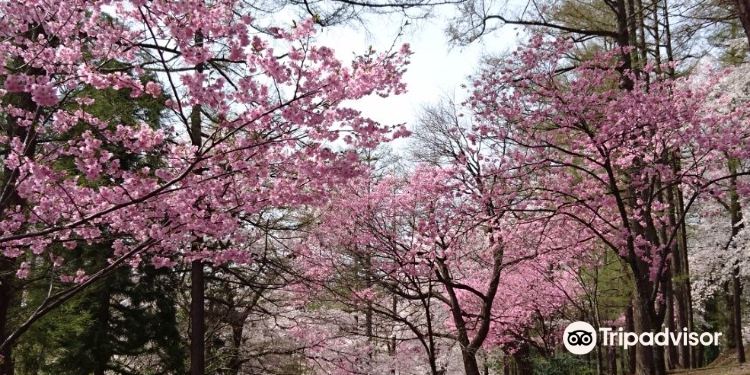 21妙高市旅游攻略 6月妙高市 Myoko 自助游 自驾 出游 自由行 游玩攻略 携程攻略 21妙高市旅游攻略 6月妙高市 Myoko 自助游 自驾 出游 自由行 游玩攻略 携程攻略