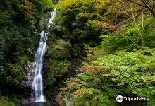 Naru Falls景点图片