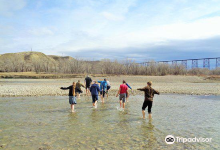 Helen Schuler Nature Centre景点图片