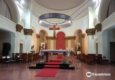 Iglesia Catedral de San Juan-萨尔托