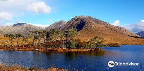 Dan O'Hara's Homestead Farm