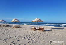 Barro Preto Beach景点图片