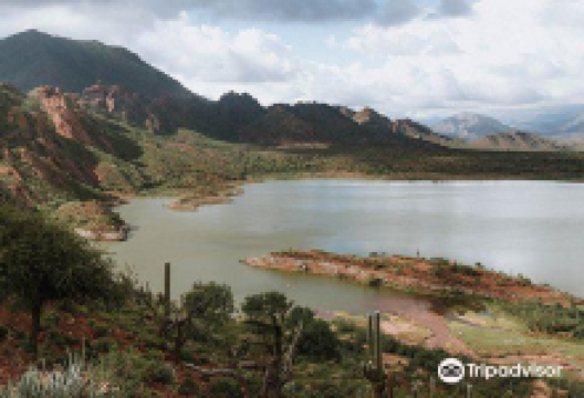 Laguna del Brealito景点图片