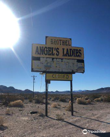 Angel's Ladies-比蒂