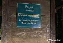 Springbrook Glow Worm Research Centre景点图片