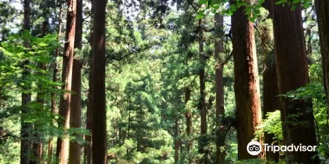 羽蒙特內哥羅五重塔