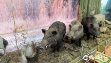 Minusinsk Local Lore Museum of N. Martyanov-米努辛斯克