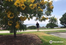 Doris Walker Overlook-达纳点