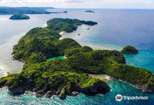 Danjugan Island Marine Reserve and Sanctuaries景点图片