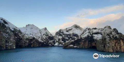 SEA LIFE Trust Beluga Whale Sanctuary