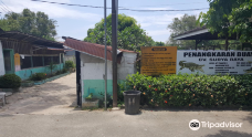 Teritip Crocodile Farm-East Balikpapan