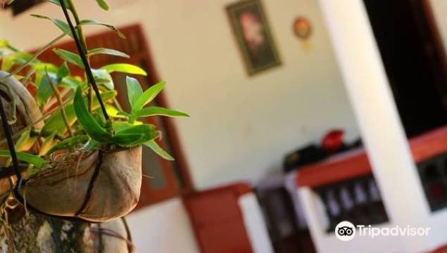 Aloha Mirissa Hostel图片