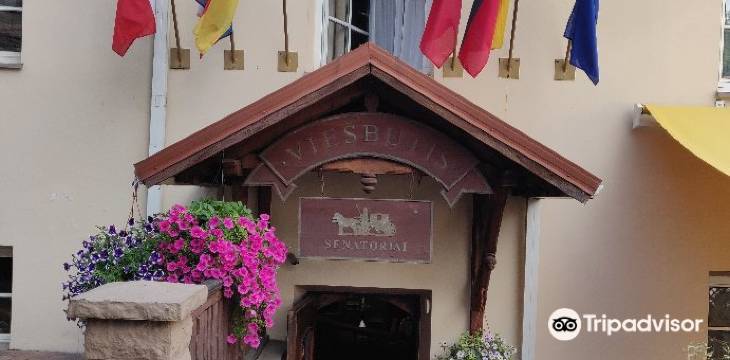 塞纳托里亚酒店(Senatoriai)图片