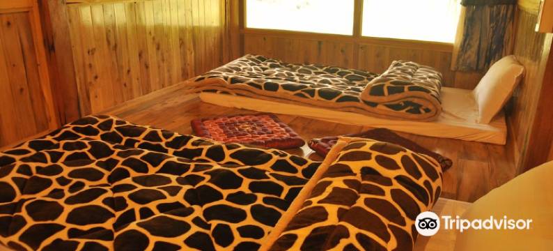 塔旺生态民宿(Tavan Ecologic Homestay)图片