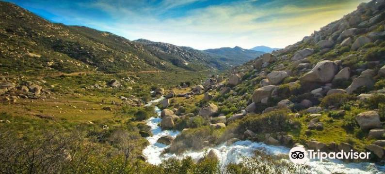 特卡特牧场精品酒店(Hotel Boutique Rancho Tecate)图片