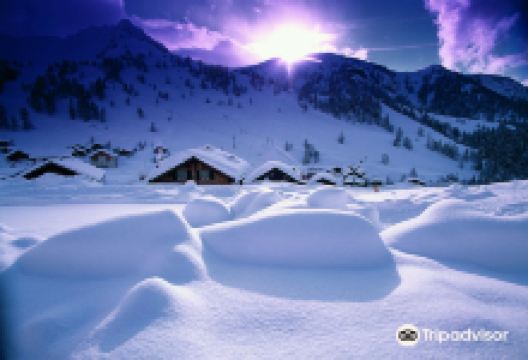 马尔本景点图片