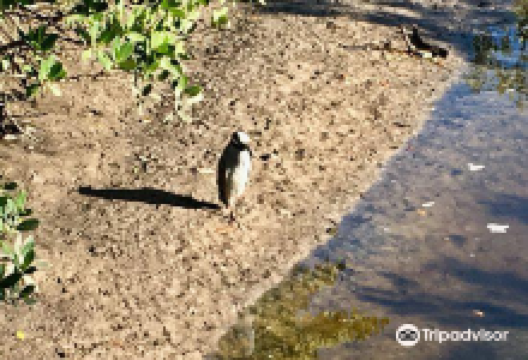 Trinta Park景点图片