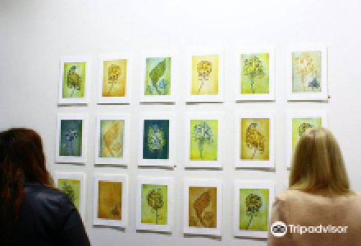 Printmaker Gallery景点图片